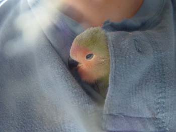 tired_baby